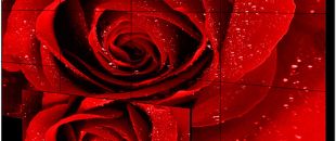 店員瘋狂發(fā)傳單，顧客卻頭也不抬？LED廣告機(jī)‘強(qiáng)制吸睛’的5個(gè)心機(jī)設(shè)計(jì)”